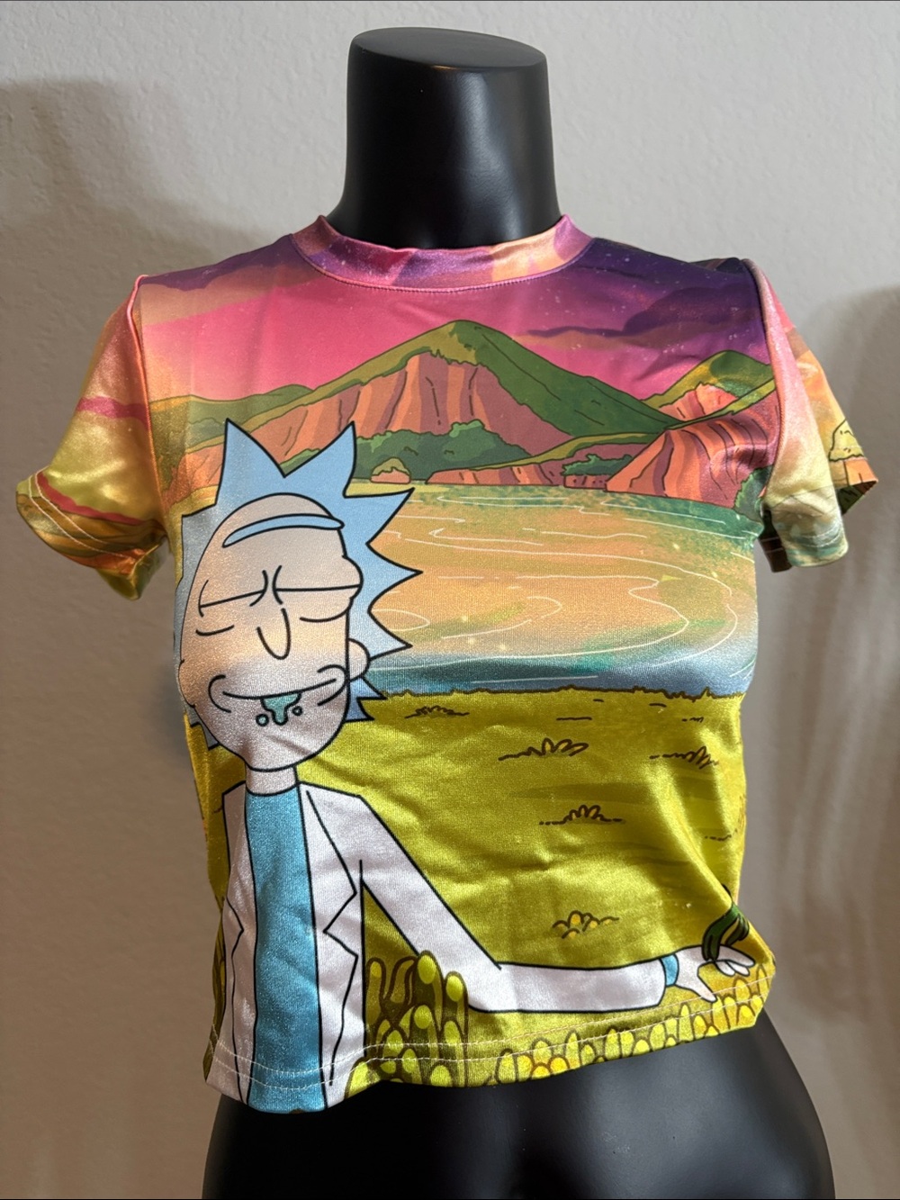Dolls Kill Rick & Morty Scenic Crop Top in Multicolor Pastel